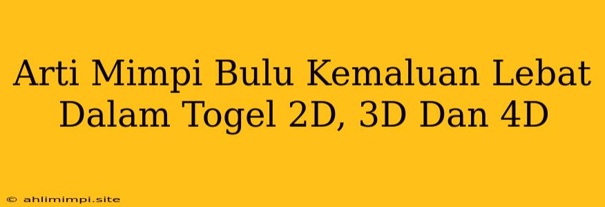 Arti Mimpi Bulu Kemaluan Lebat Dalam Togel 2D, 3D Dan 4D