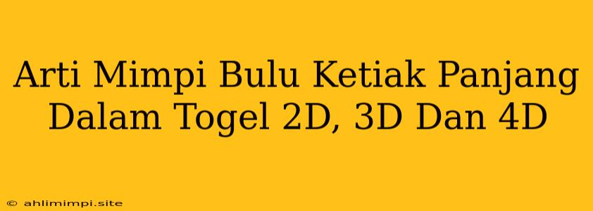 Arti Mimpi Bulu Ketiak Panjang Dalam Togel 2D, 3D Dan 4D