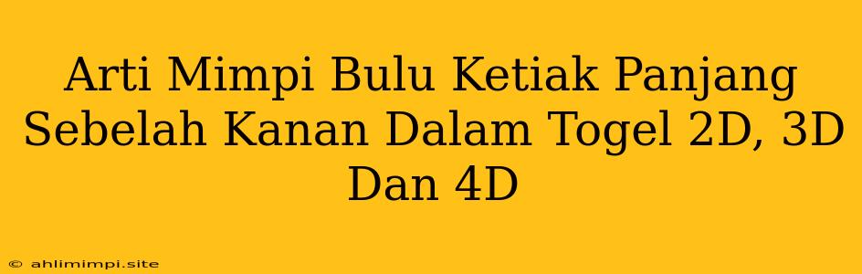 Arti Mimpi Bulu Ketiak Panjang Sebelah Kanan Dalam Togel 2D, 3D Dan 4D