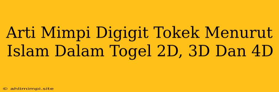 Arti Mimpi Digigit Tokek Menurut Islam Dalam Togel 2D, 3D Dan 4D