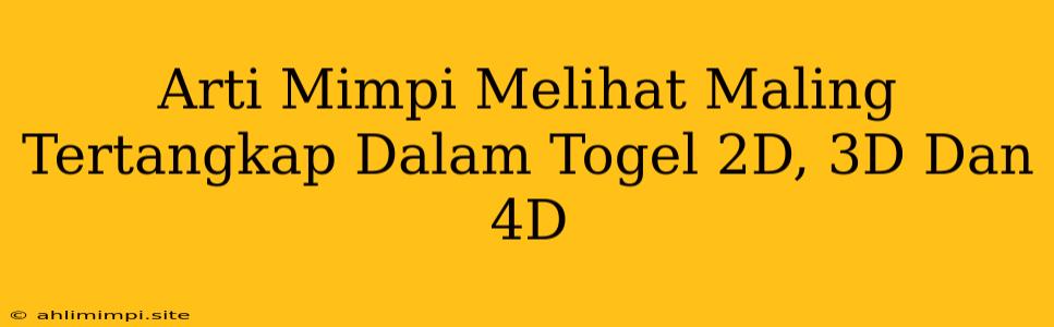 Arti Mimpi Melihat Maling Tertangkap Dalam Togel 2D, 3D Dan 4D