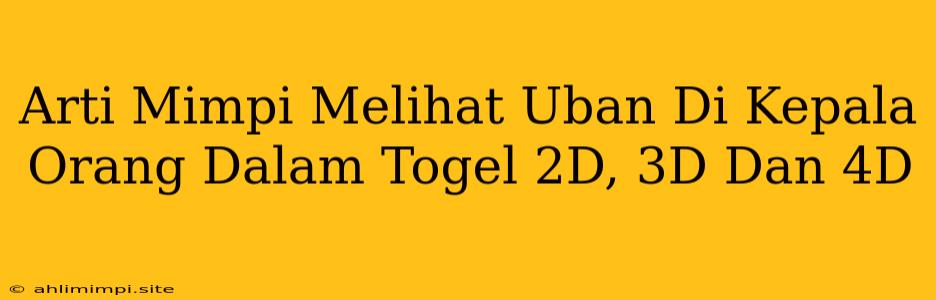 Arti Mimpi Melihat Uban Di Kepala Orang Dalam Togel 2D, 3D Dan 4D