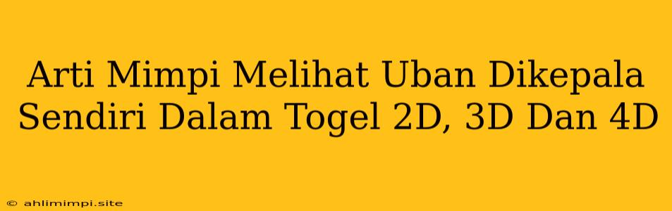 Arti Mimpi Melihat Uban Dikepala Sendiri Dalam Togel 2D, 3D Dan 4D