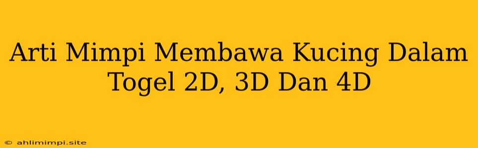 Arti Mimpi Membawa Kucing Dalam Togel 2D, 3D Dan 4D