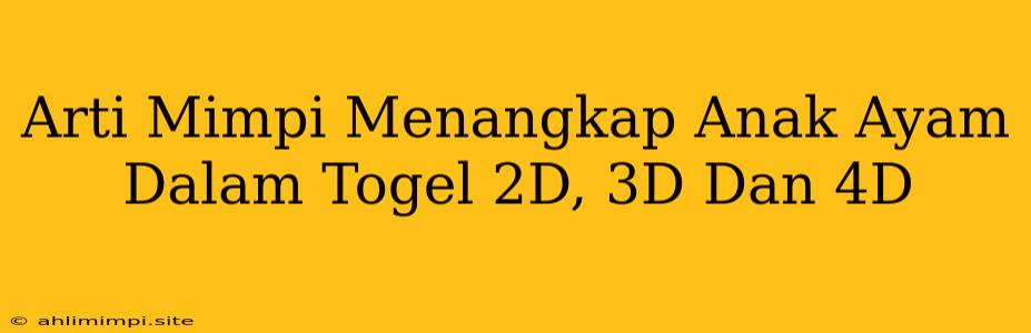 Arti Mimpi Menangkap Anak Ayam Dalam Togel 2D, 3D Dan 4D