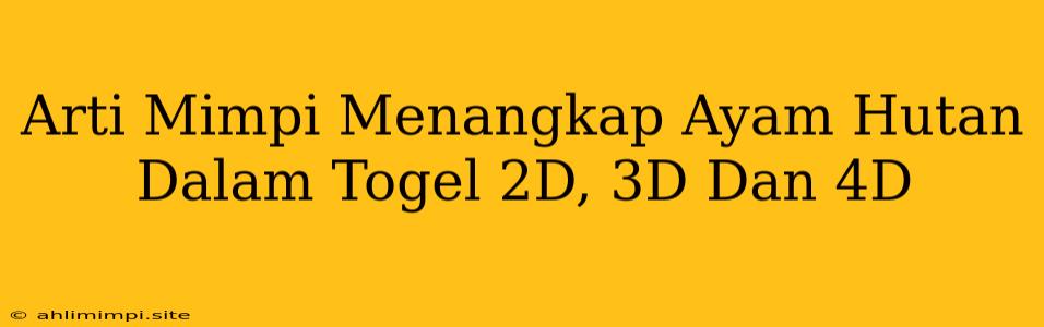 Arti Mimpi Menangkap Ayam Hutan Dalam Togel 2D, 3D Dan 4D