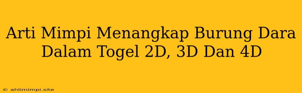 Arti Mimpi Menangkap Burung Dara Dalam Togel 2D, 3D Dan 4D