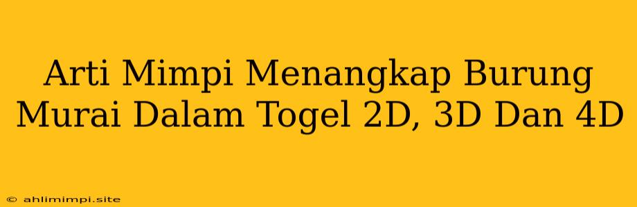 Arti Mimpi Menangkap Burung Murai Dalam Togel 2D, 3D Dan 4D