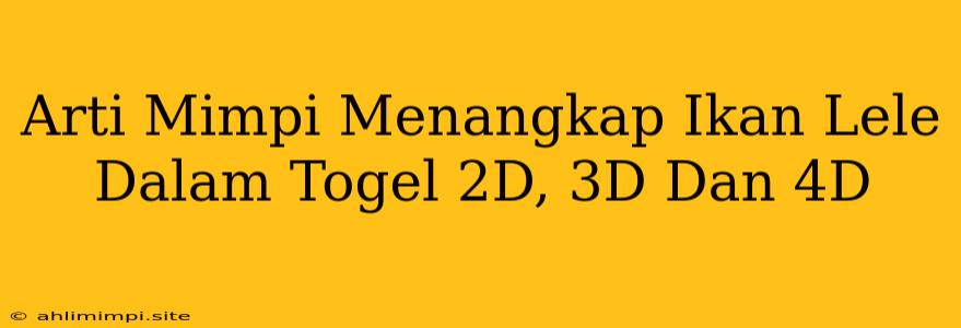 Arti Mimpi Menangkap Ikan Lele Dalam Togel 2D, 3D Dan 4D