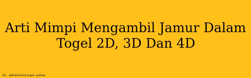 Arti Mimpi Mengambil Jamur Dalam Togel 2D, 3D Dan 4D