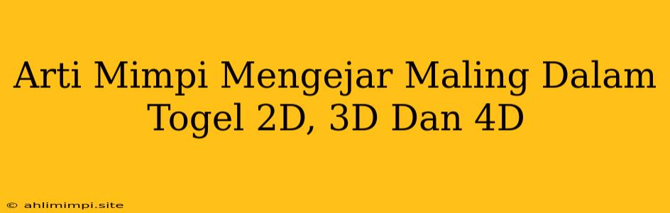 Arti Mimpi Mengejar Maling Dalam Togel 2D, 3D Dan 4D