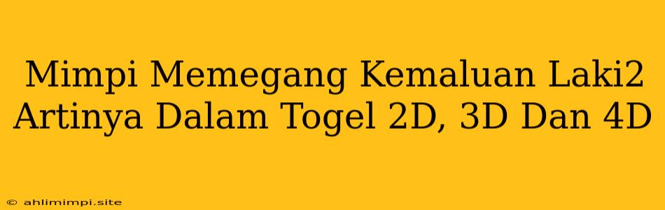 Mimpi Memegang Kemaluan Laki2 Artinya Dalam Togel 2D, 3D Dan 4D